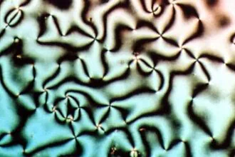 Schlieren texture of a liquid crystal nematic phase