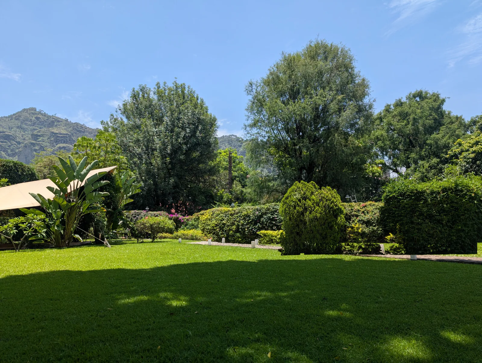 The scene I saw at the retreat garden