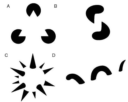 Illusory contours, four panels