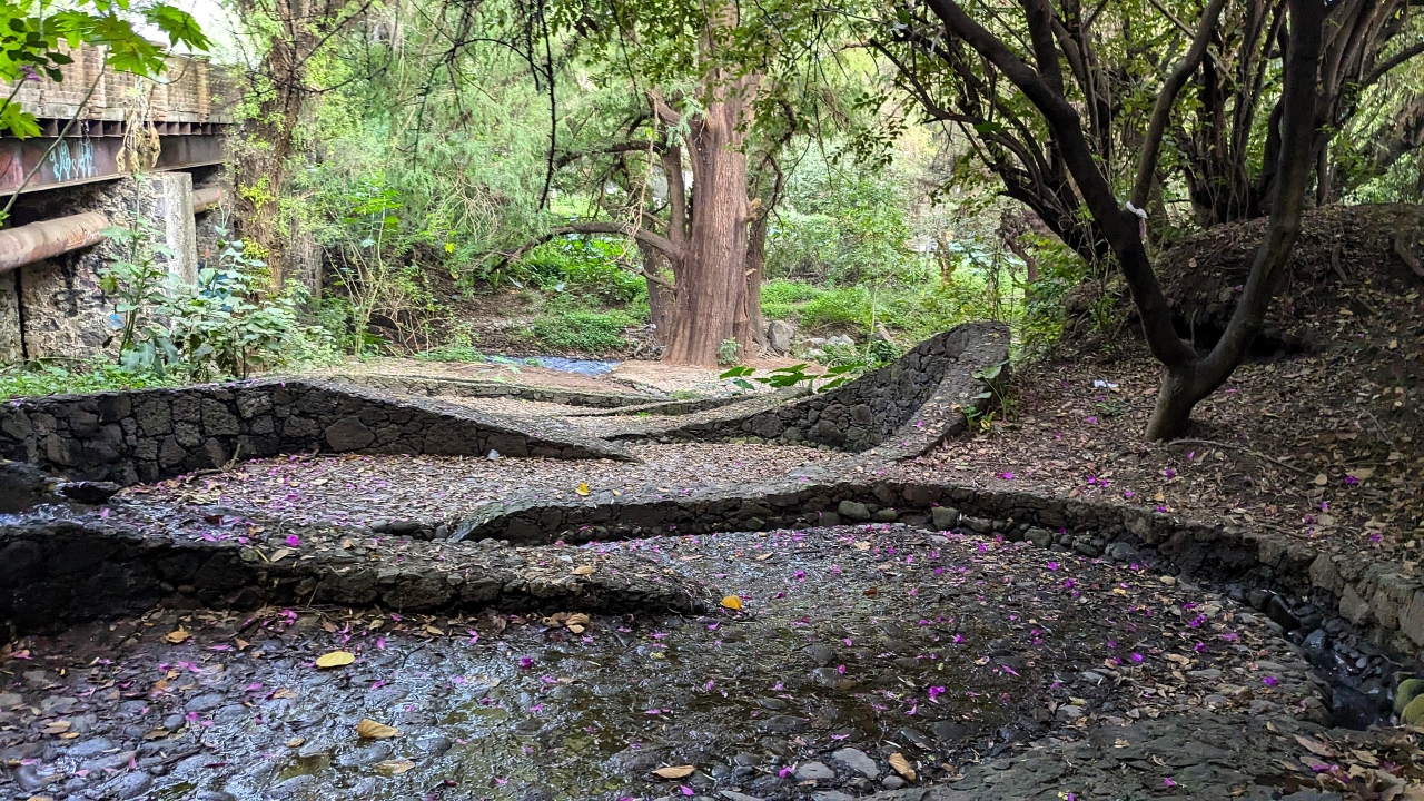 Stone terraces and a shallow stream on the Tepozteco walking path, one of the morning-walk scenes loaded into the Oscilleditor
