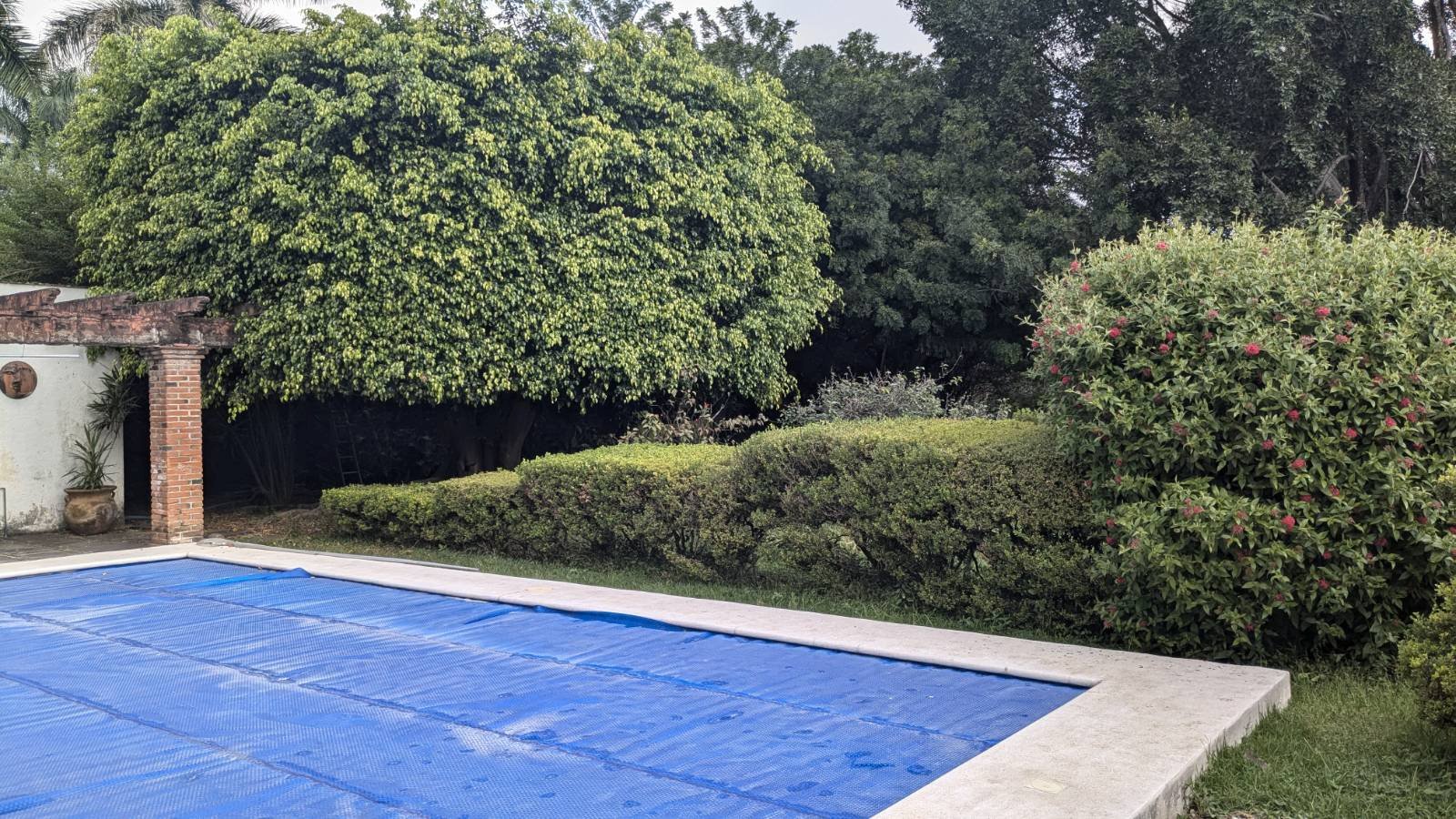 The Casa Cosmic pool, framed by ficus and hibiscus, the same scene that ships as a default canvas in the Oscilleditor